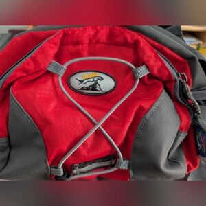 Red and Gray Fanny Pack